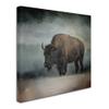 Trademark Fine Art ALI13971-C1414GG Canvas Art view 2