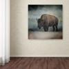 Trademark Fine Art ALI13971-C1414GG Canvas Art view 3