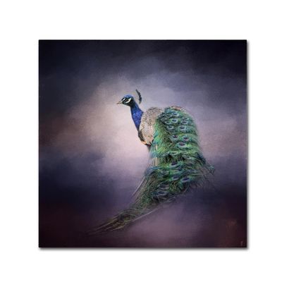 Peacock 11 by Jai Johnson, 14x14-Inch Canvas Wall Art