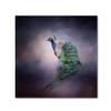 Peacock 11 by Jai Johnson, 14x14-Inch Canvas Wall Art view 1