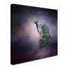 Peacock 11 by Jai Johnson, 14x14-Inch Canvas Wall Art view 2