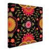 Folkloric II by Fiona Stokes-Gilbert, 14x14-Inch Canvas Wall Art view 2
