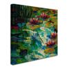 Trademark Fine Art ALI15392-C1414GG Canvas Art view 2
