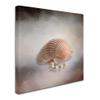 Trademark Fine Art ALI14293-C1414GG Canvas Art, 14 in x 14 in view 2