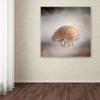 Trademark Fine Art ALI14293-C1414GG Canvas Art, 14 in x 14 in view 3