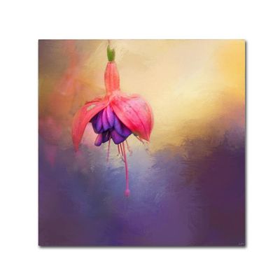 Trademark Fine Art ALI14451-C1414GG Canvas Art