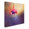 Trademark Fine Art ALI14451-C1414GG Canvas Art view 2