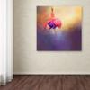 Trademark Fine Art ALI14451-C1414GG Canvas Art view 3
