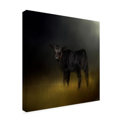 Wrapped Canvas Wall Art - Jai Johnson 'Black Angus Calf In The Moonlight' Wall Art for Living Room, Bedroom, or Office Dcor - 14x14