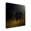 Wrapped Canvas Wall Art - Jai Johnson 'Black Angus Calf In The Moonlight' Wall Art for Living Room, Bedroom, or Office Dcor - 14x14 view 1