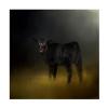 Wrapped Canvas Wall Art - Jai Johnson 'Black Angus Calf In The Moonlight' Wall Art for Living Room, Bedroom, or Office Dcor - 14x14 view 2