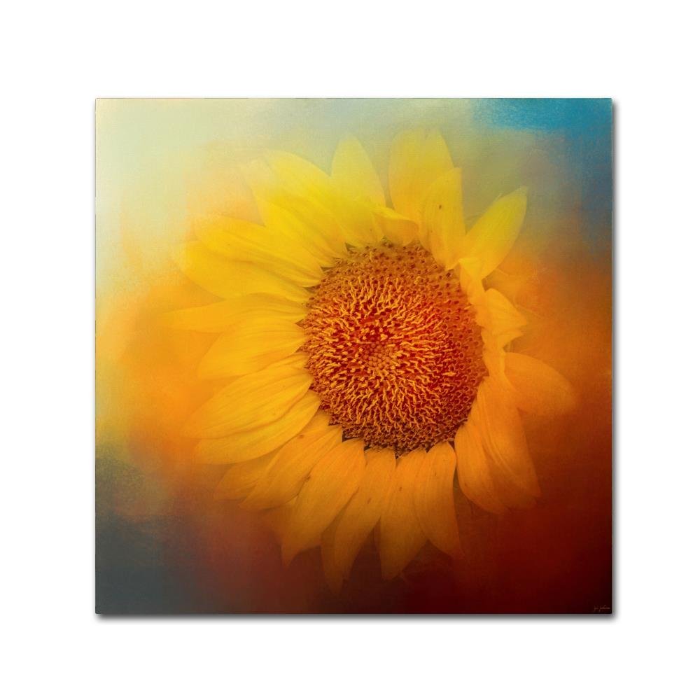 Trademark Fine Art ALI14295-C1414GG Canvas Art
