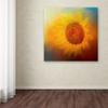 Trademark Fine Art ALI14295-C1414GG Canvas Art view 3
