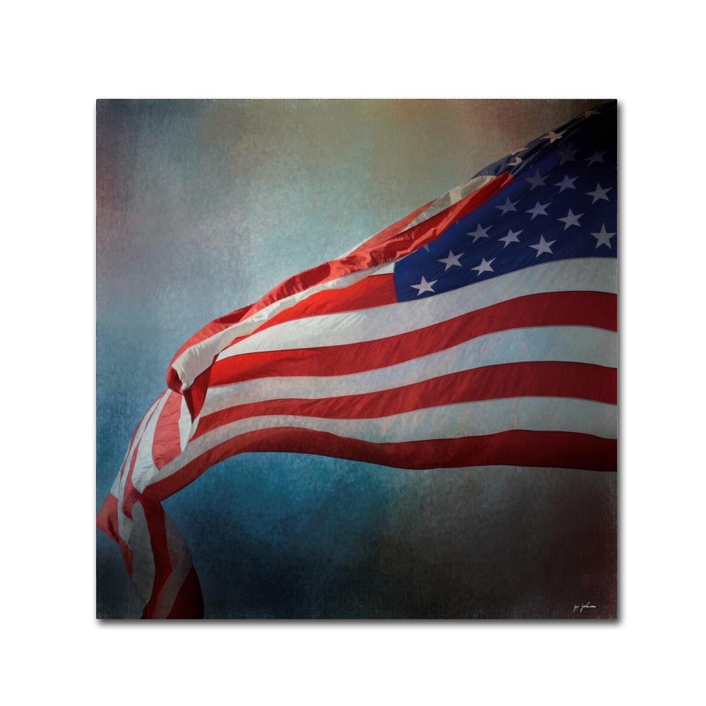 Trademark Fine Art ALI14403-C1414GG Canvas Art