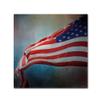 Trademark Fine Art ALI14403-C1414GG Canvas Art view 1