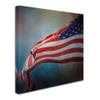 Trademark Fine Art ALI14403-C1414GG Canvas Art view 2