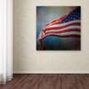Trademark Fine Art ALI14403-C1414GG Canvas Art view 3