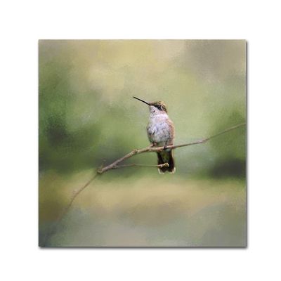 Trademark Fine Art ALI14299-C1414GG Canvas Art