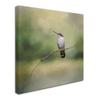 Trademark Fine Art ALI14299-C1414GG Canvas Art view 2