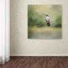 Trademark Fine Art ALI14299-C1414GG Canvas Art view 3