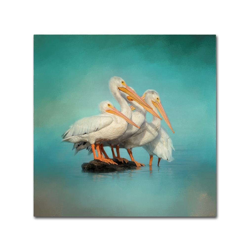 Trademark Fine Art We Are Family White Pelicans by Jai Johnson, 14x14-Inch