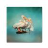 Trademark Fine Art We Are Family White Pelicans by Jai Johnson, 14x14-Inch view 1
