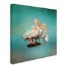 Trademark Fine Art We Are Family White Pelicans by Jai Johnson, 14x14-Inch view 2