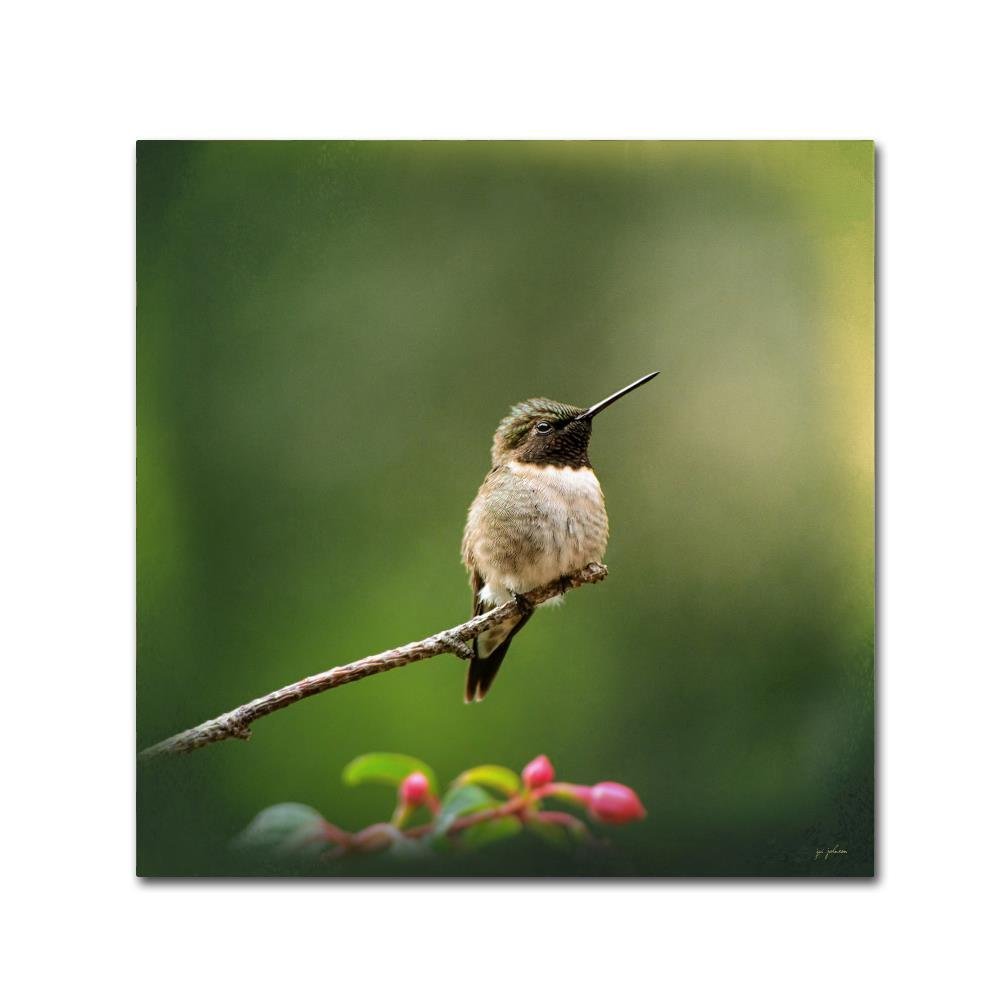 Trademark Fine Art ALI14514-C1414GG Canvas Art
