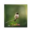 Trademark Fine Art ALI14514-C1414GG Canvas Art view 1