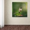 Trademark Fine Art ALI14514-C1414GG Canvas Art view 3