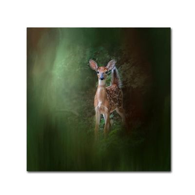 Trademark Fine Art Woodsy Summer Fawn by Jai Johnson, 14x14-Inch