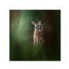 Trademark Fine Art Woodsy Summer Fawn by Jai Johnson, 14x14-Inch view 1