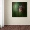 Trademark Fine Art Woodsy Summer Fawn by Jai Johnson, 14x14-Inch view 3