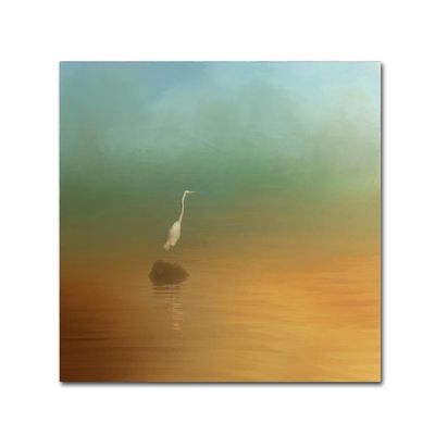 Trademark Fine Art ALI14538-C1414GG Canvas Art