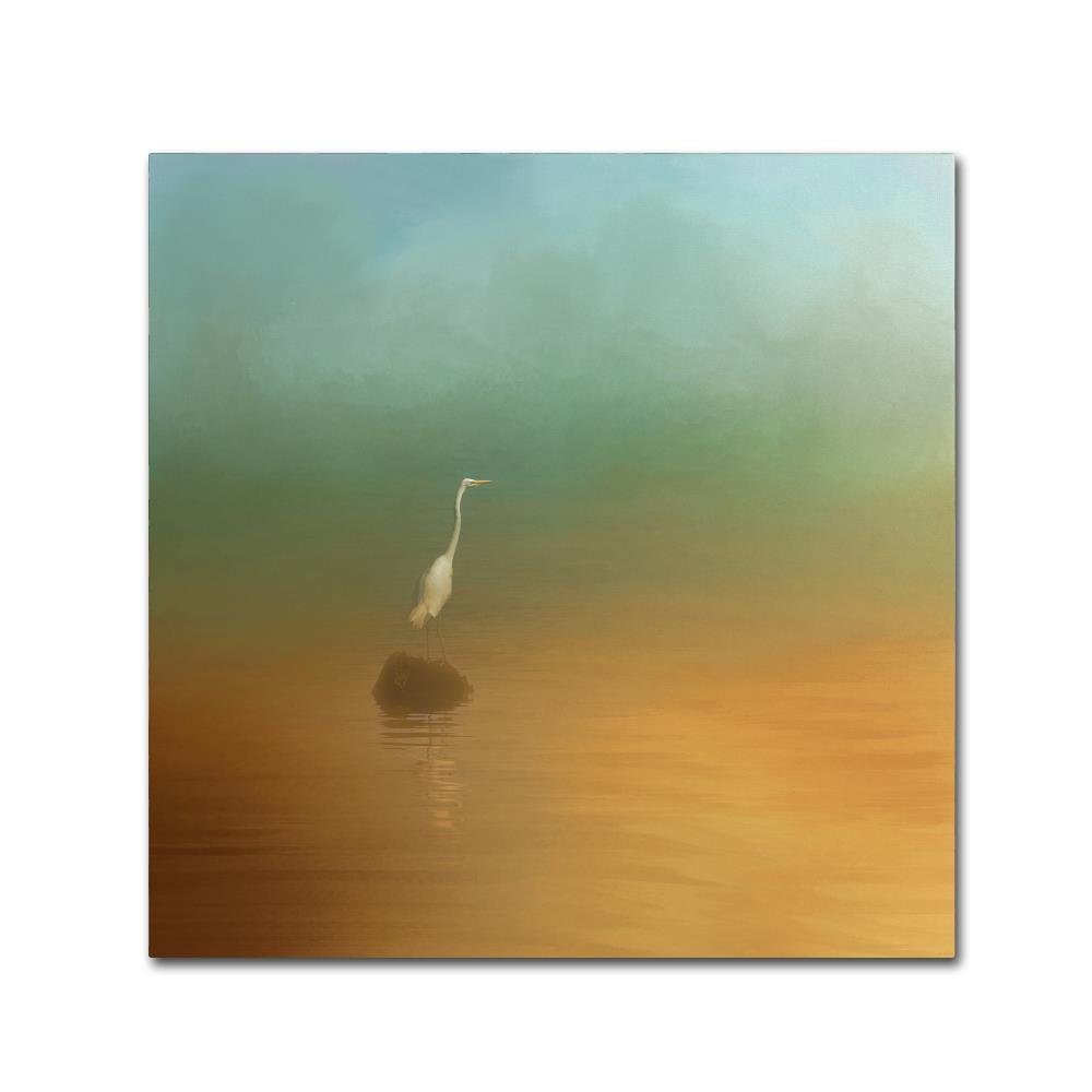 Trademark Fine Art ALI14538-C1414GG Canvas Art