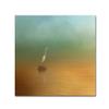 Trademark Fine Art ALI14538-C1414GG Canvas Art view 1