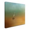 Trademark Fine Art ALI14538-C1414GG Canvas Art view 2