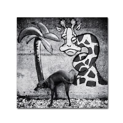 Trademark Fine Art 1X00302-C1414GG Canvas Art