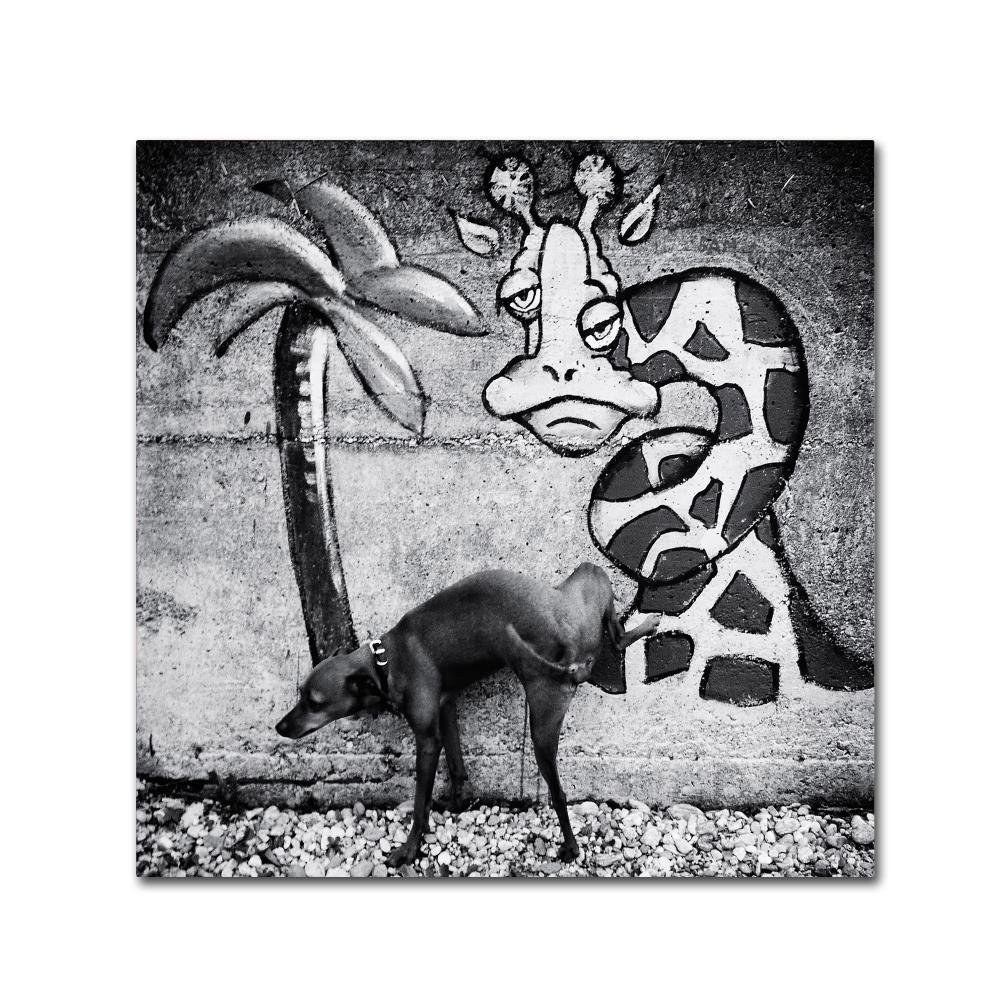 Trademark Fine Art 1X00302-C1414GG Canvas Art