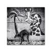 Trademark Fine Art 1X00302-C1414GG Canvas Art view 1