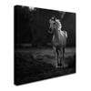 Trademark Fine Art 1X00262-C1414GG Canvas Art view 2