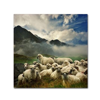 Trademark Fine Art 1X00136-C1414GG Canvas Art