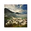 Trademark Fine Art 1X00136-C1414GG Canvas Art view 1