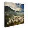 Trademark Fine Art 1X00136-C1414GG Canvas Art view 2