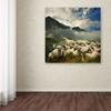 Trademark Fine Art 1X00136-C1414GG Canvas Art view 3