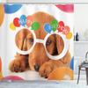 Ambesonne Birthday Party Shower Curtain, Celebration Puppy Dog Golden Glasses Balloons Present Themed Art, Cloth Fabric Bathroom Decor Set with Hooks, 69" W x 75" L, Multicolor view 1