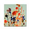 Trademark Fine Art Untitled by Sylvie Demers, 14x14-Inch view 1