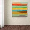 Baja Coussin by Sylvie Demers, 14x14-Inch Canvas Wall Art view 3