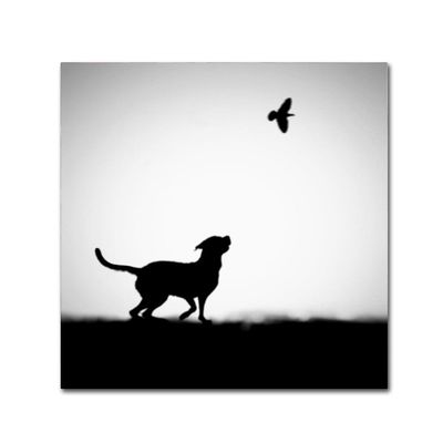 Trademark Fine Art Animals Modern & Contemporary Canvas Art