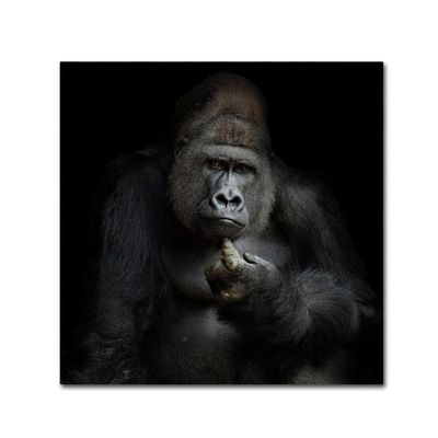 Trademark Fine Art Animals Traditional Canvas Art